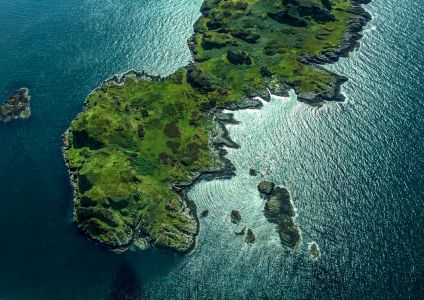 T-Rex Island
