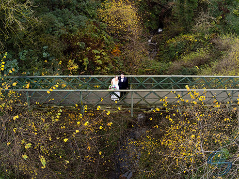 Wedding party on a bridge over a small glen.
